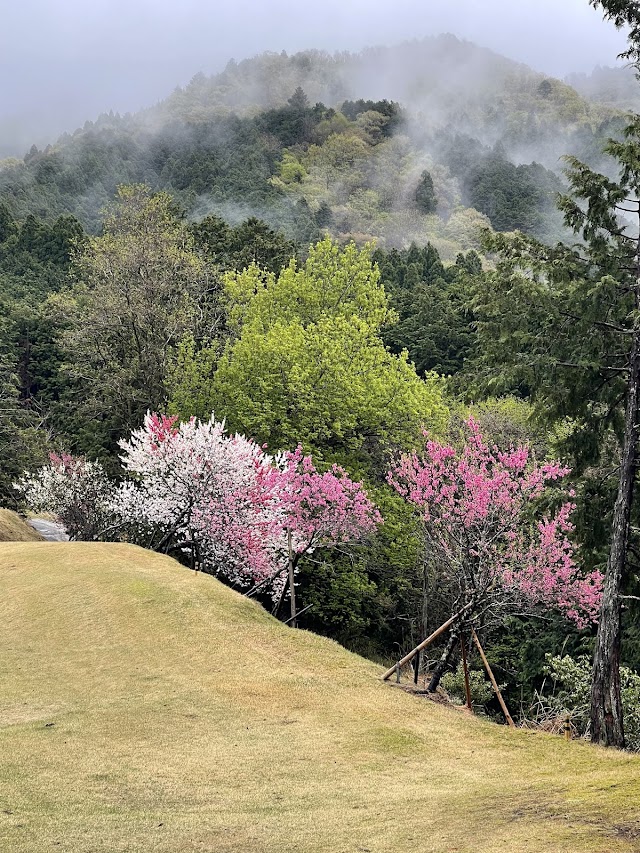 Kyoto Ohara Public Course - Photo 3