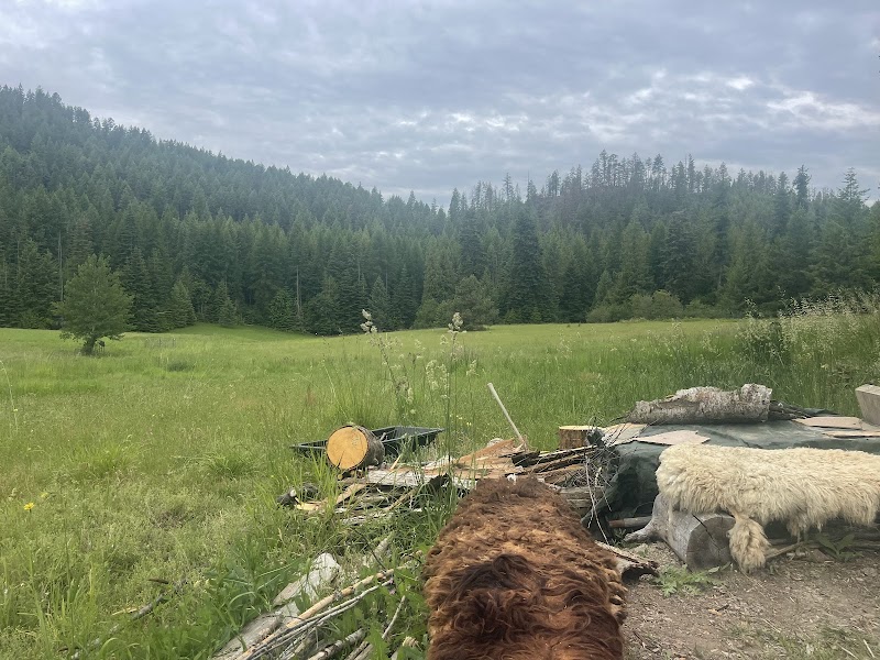 Human Nature Hunting - Photo 1