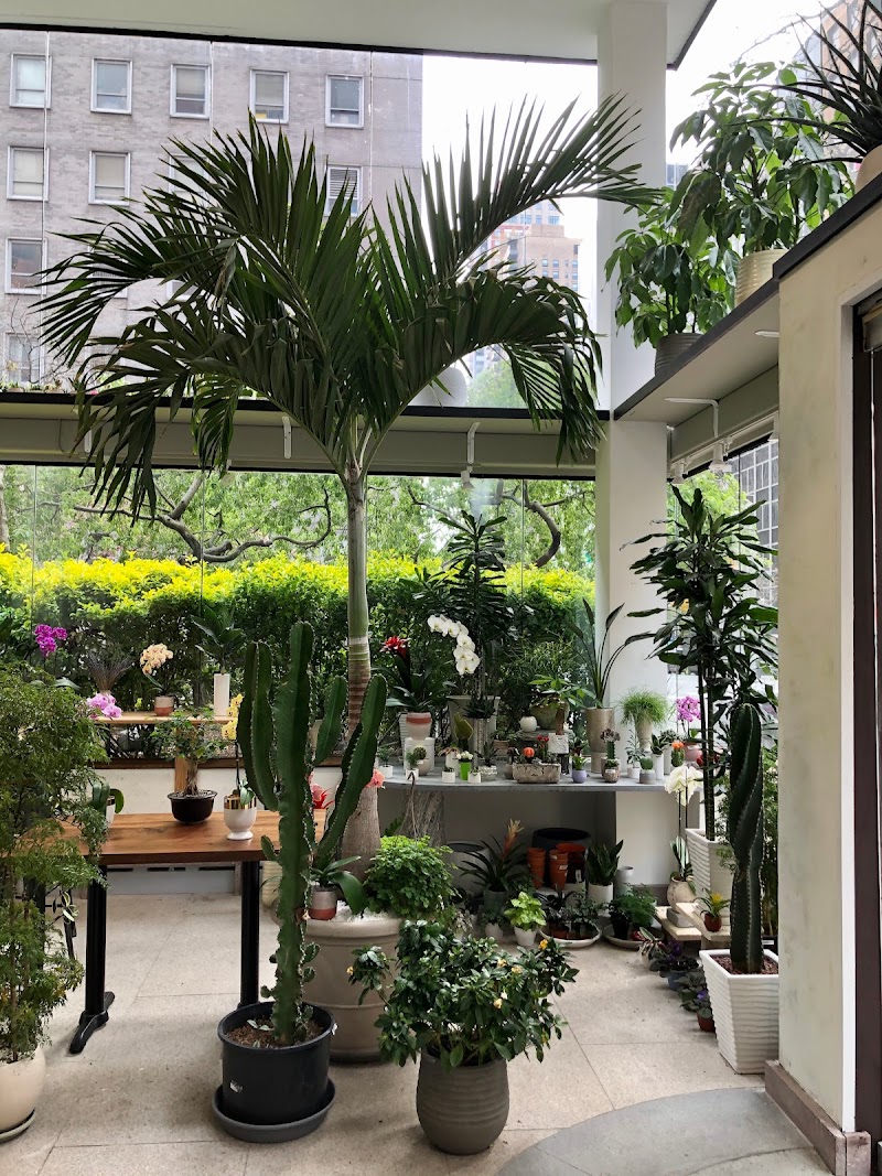 Remi43 Flower & Coffee photo 3