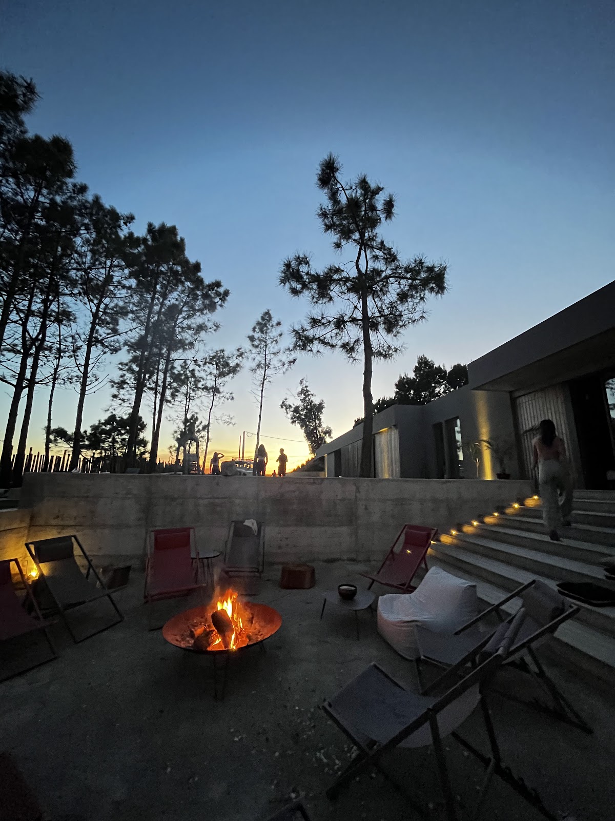 Zen Forest - Retreat — 4