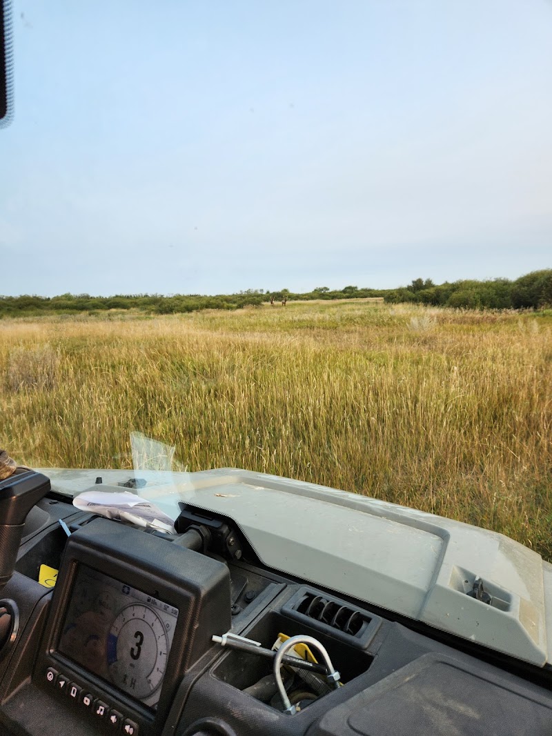 Border View Elk Ranch - Photo 4