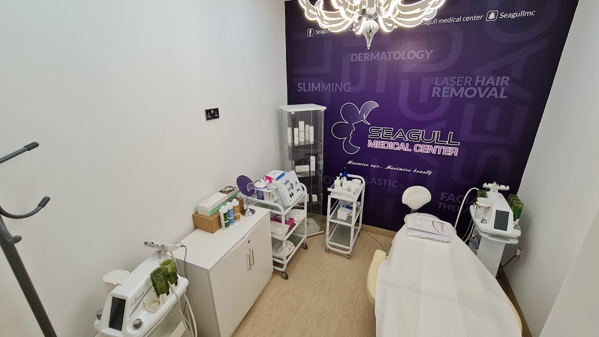 Seagull Medical Center 2