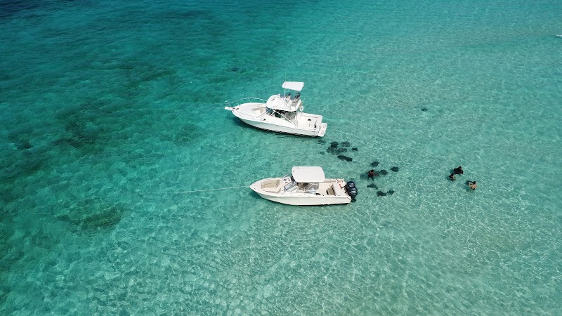 Cayman Snorkel Co. photo 3