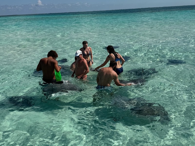 Cayman Snorkel Co. photo 2