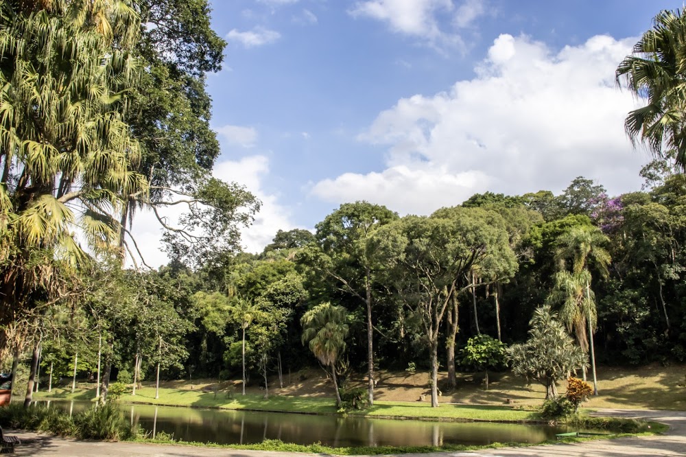 Jardim Botânico de São Paulo fotoğraf 1