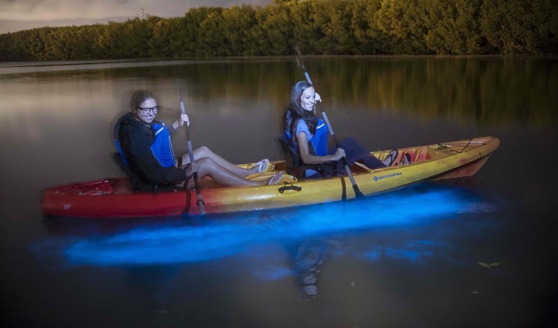 Cayman Kayaks