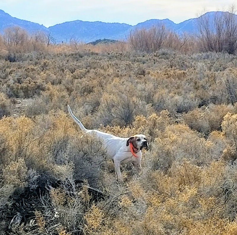 Desert Creek Sportsman's Club LLC - Photo 1
