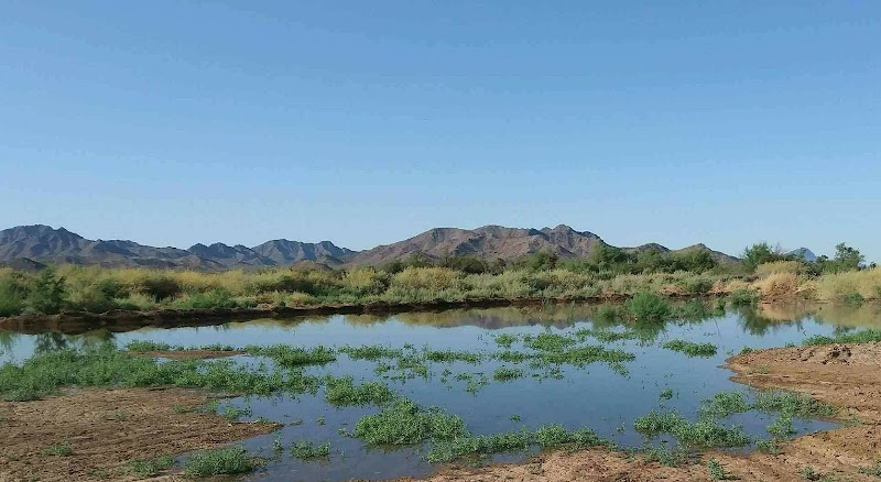 Desert Creek Sportsman's Club LLC - Photo 2