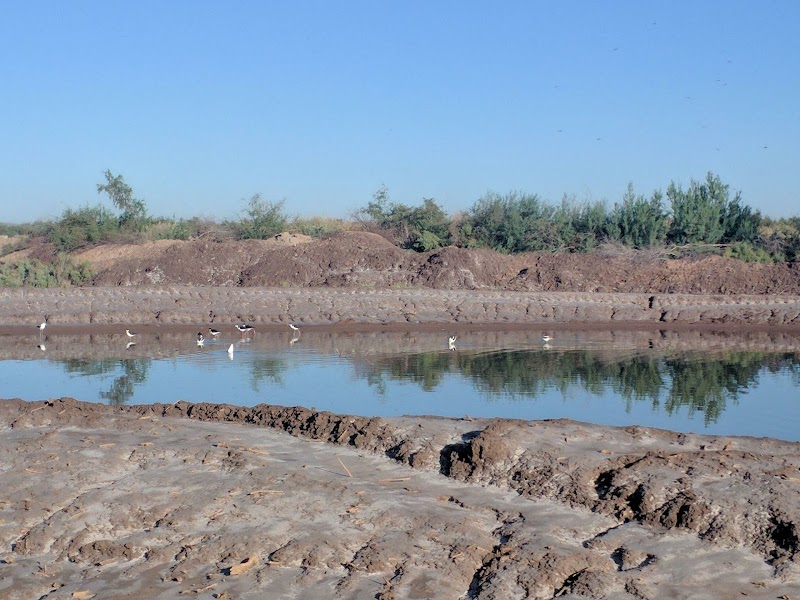 Desert Creek Sportsman's Club LLC - Photo 6