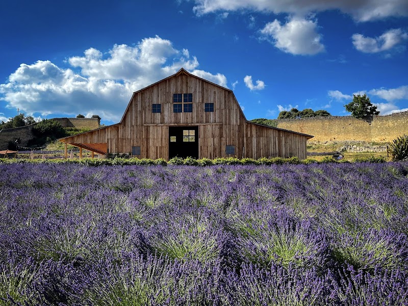 El Granero de San Francisco