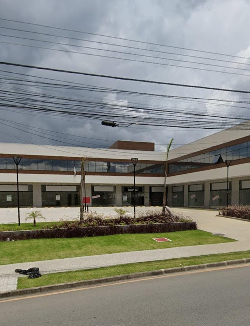 Dra. Flávia Barboza - foto 5