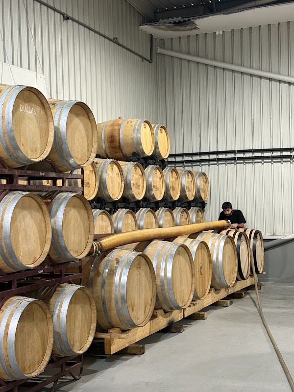 Bodega Huerto de la Condesa
