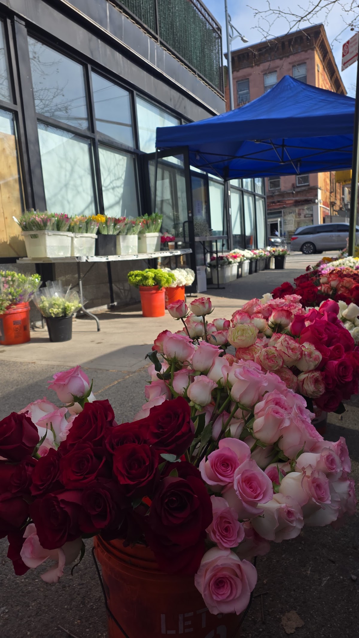 Brooklyn Flower Shop: Google Places image 4