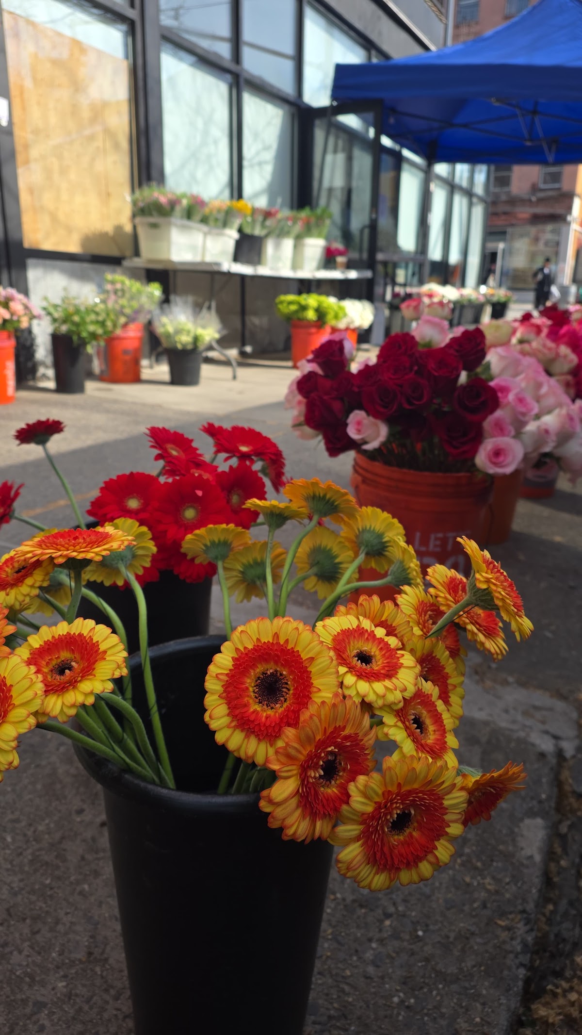 Brooklyn Flower Shop: Google Places image 3