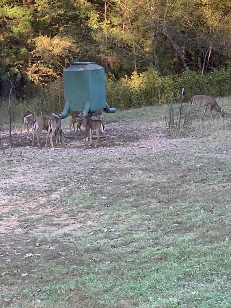 The Hunting Grounds - Photo 6
