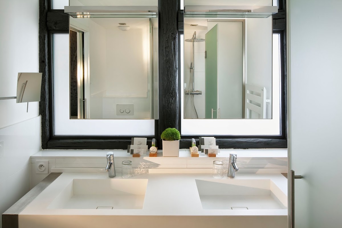 Hôtel Le Colombier Suites, dog-friendly hotel, photo 2