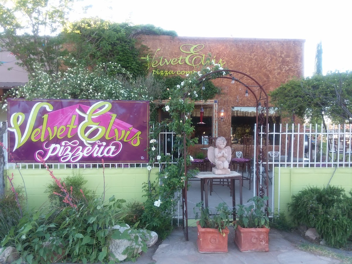 Velvet Elvis at La Misión in patagonia