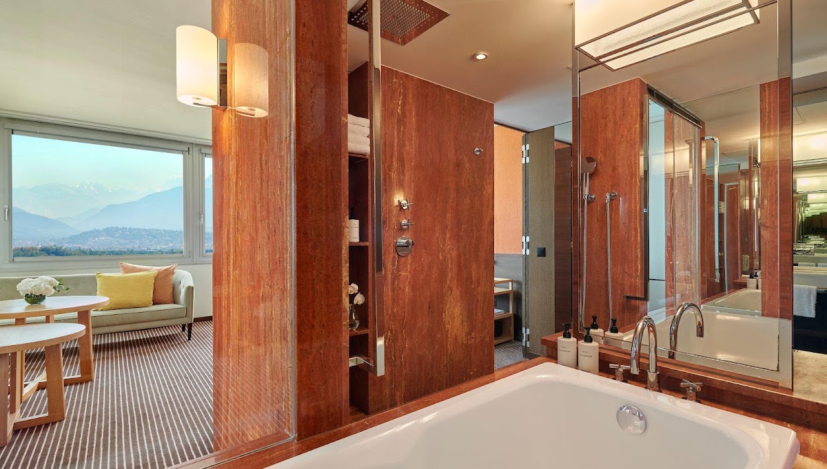 InterContinental Genève, dog-friendly hotel, photo 3