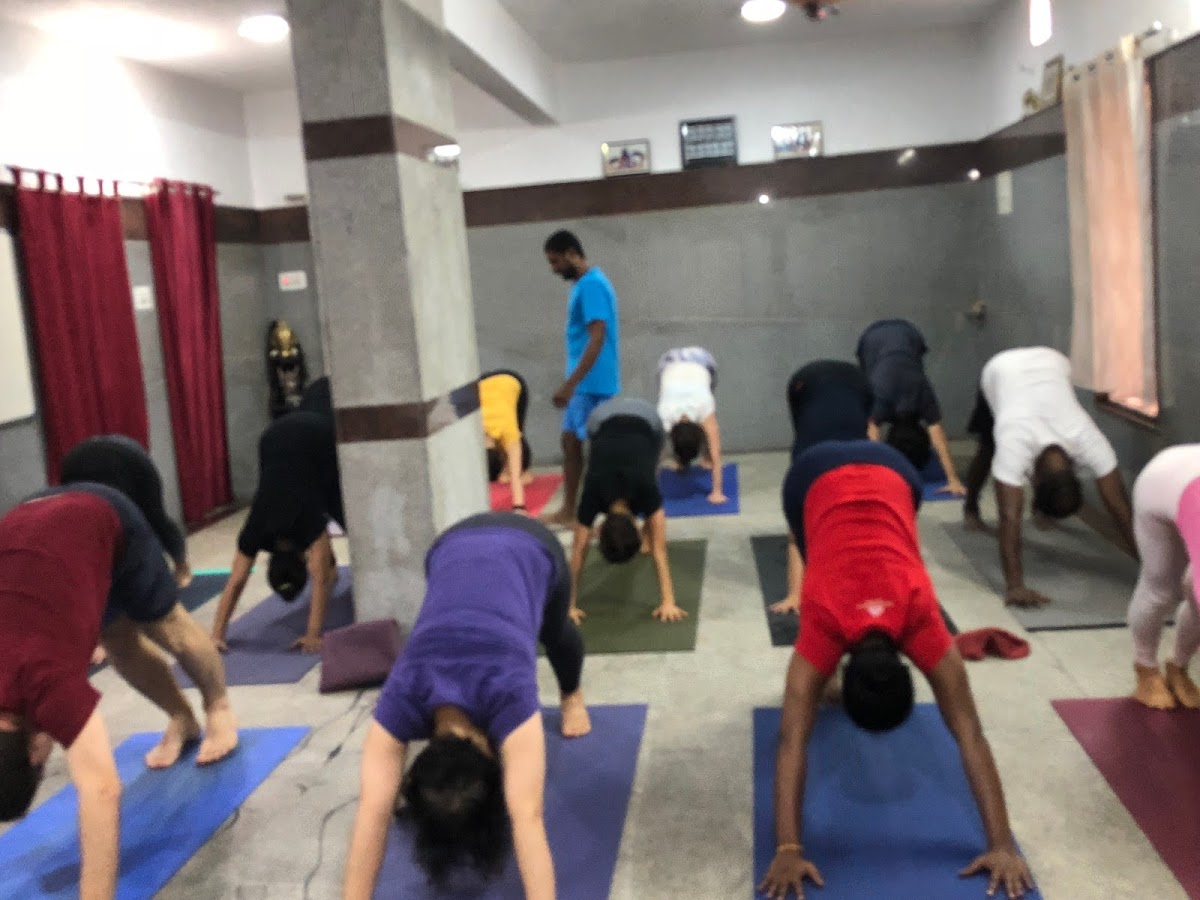 Prana Vashya Yoga Shala — 3