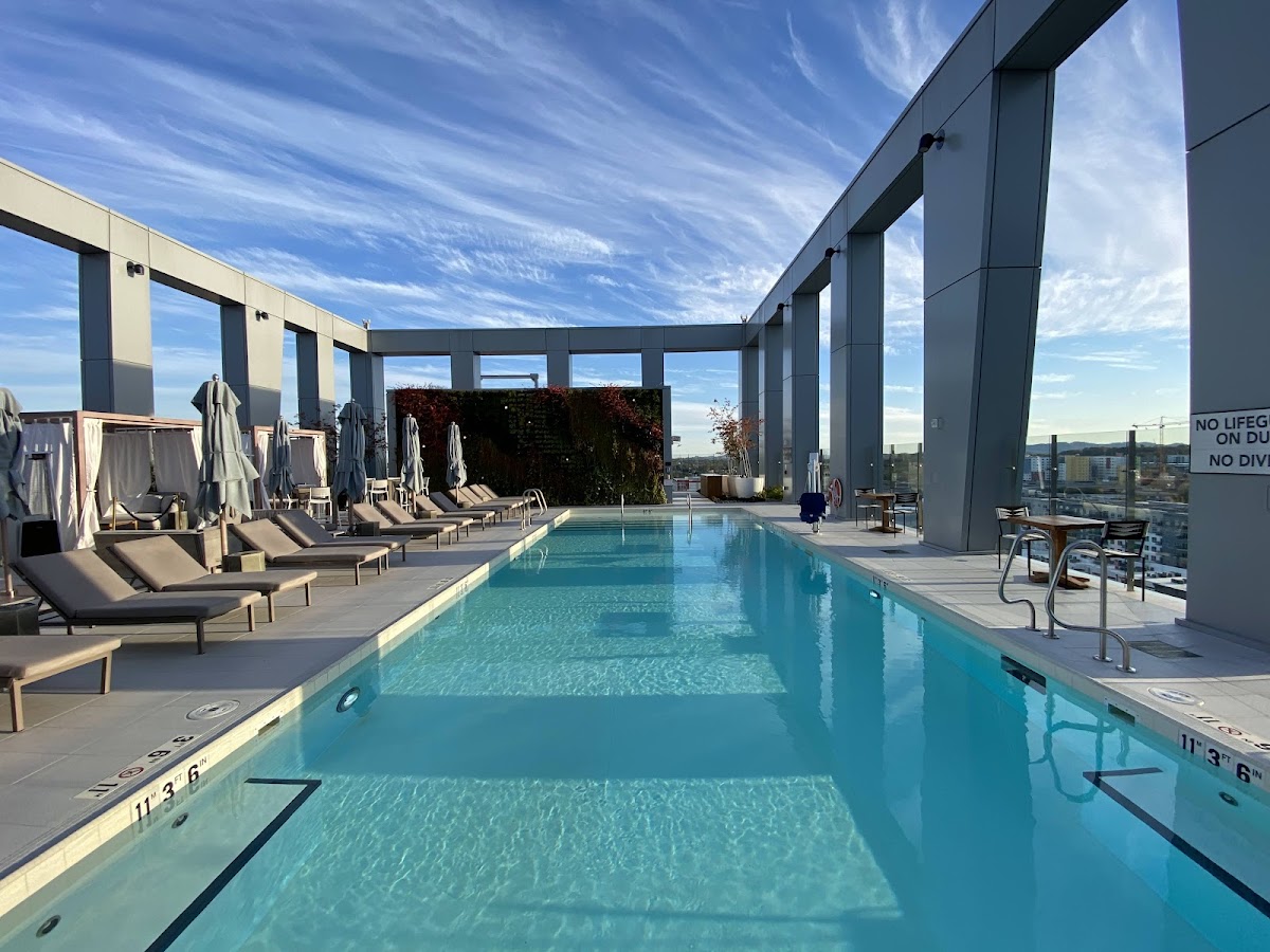 The Joseph, a Luxury Collection Hotel, Nashville, dog-friendly hotel, photo 2
