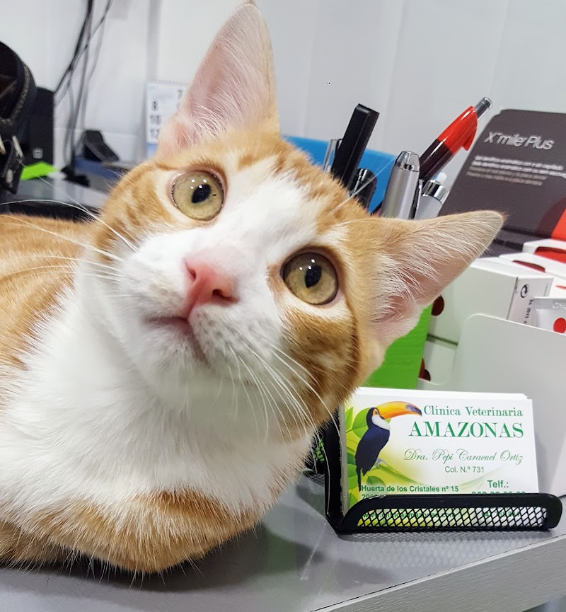 clinica veterinaria amazonas