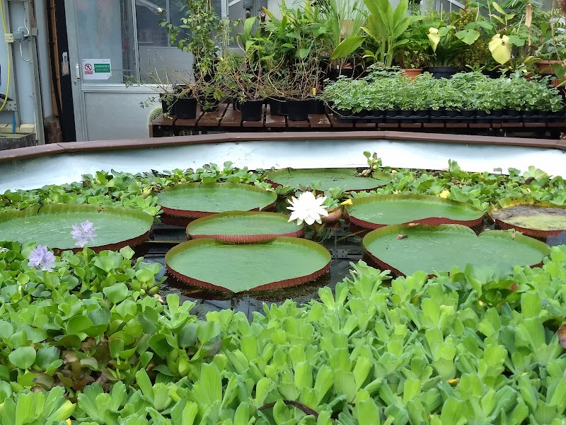 Durham University Botanic Garden