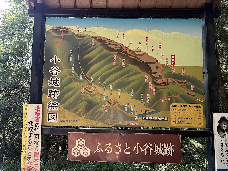 Odani Castle Ruins photo
