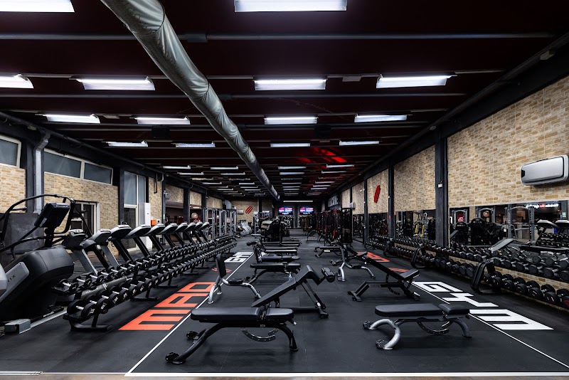 Mad Gym