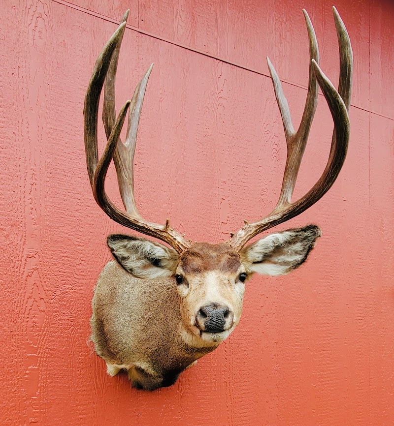 B6 Ranch & Wildlife Studio - Photo 5