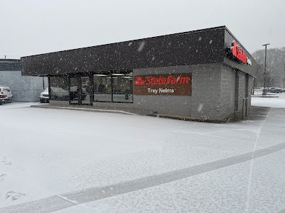 Trey Nelms - State Farm Insurance Agent