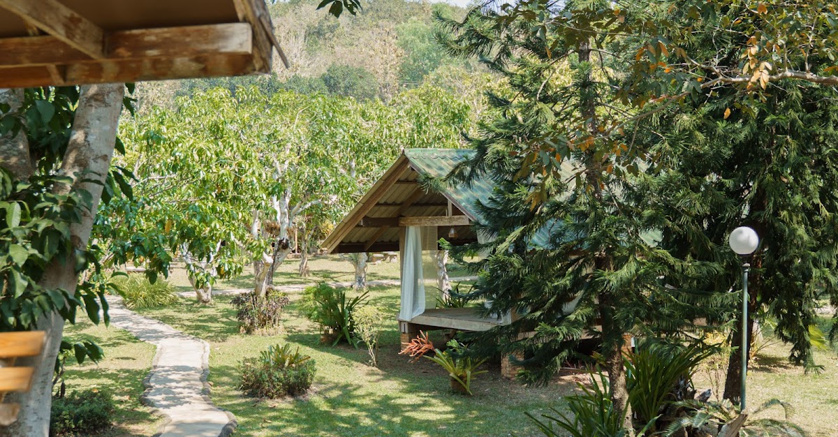 La Tierra | ลา เทียร์ร่า