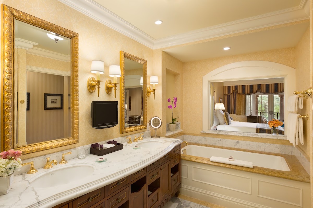 Fairmont Grand Hotel Geneva, dog-friendly hotel, photo 3