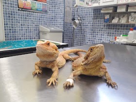 Clínica veterinaria La Granja