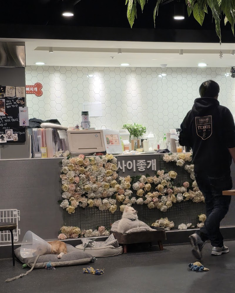 꽃길걷개 사진 3