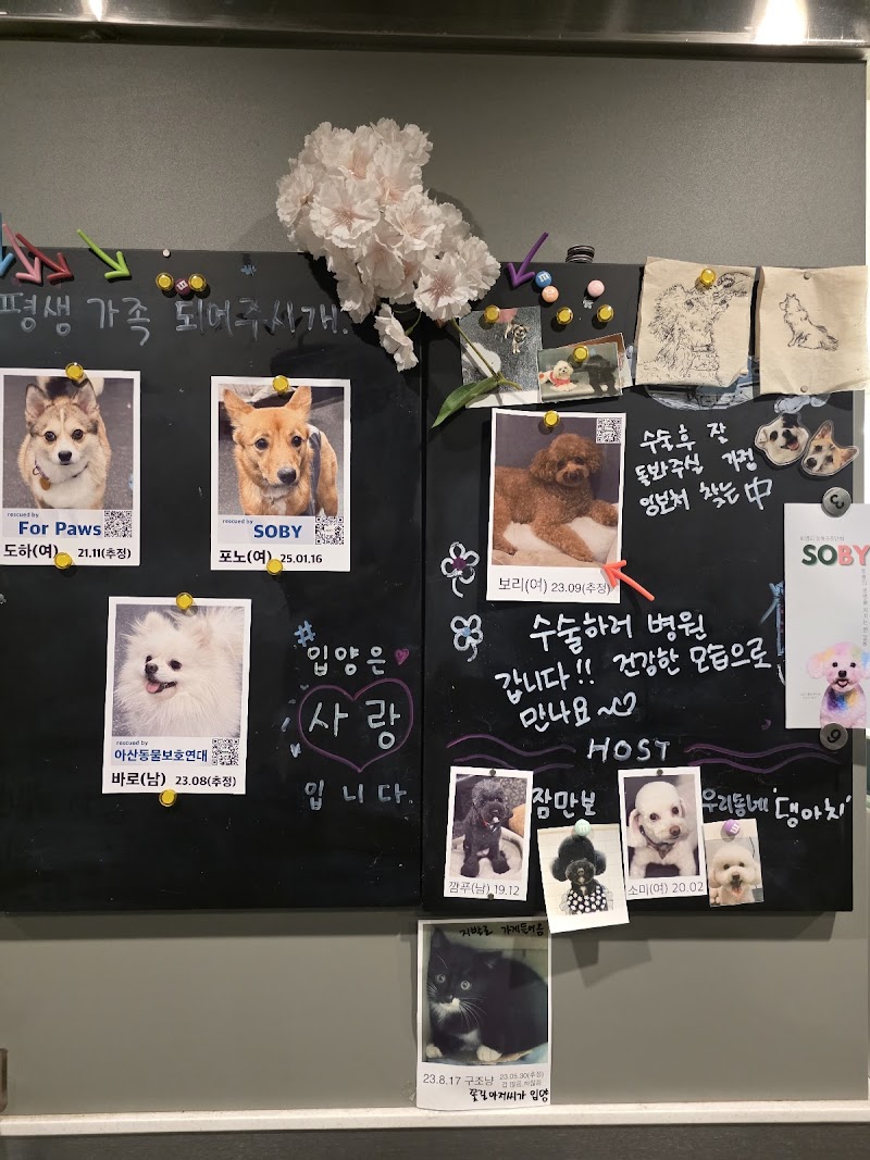 꽃길걷개 사진 2