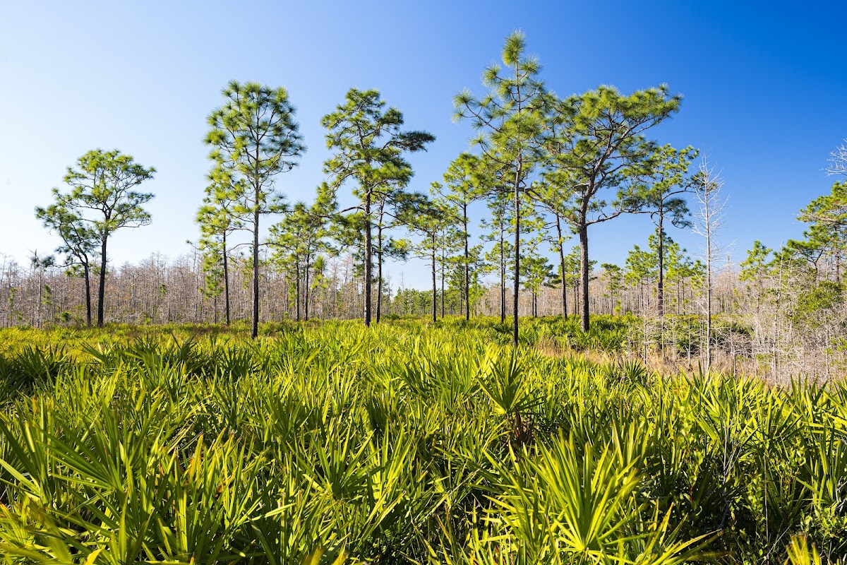 Triple N Ranch Wildlife Management Area