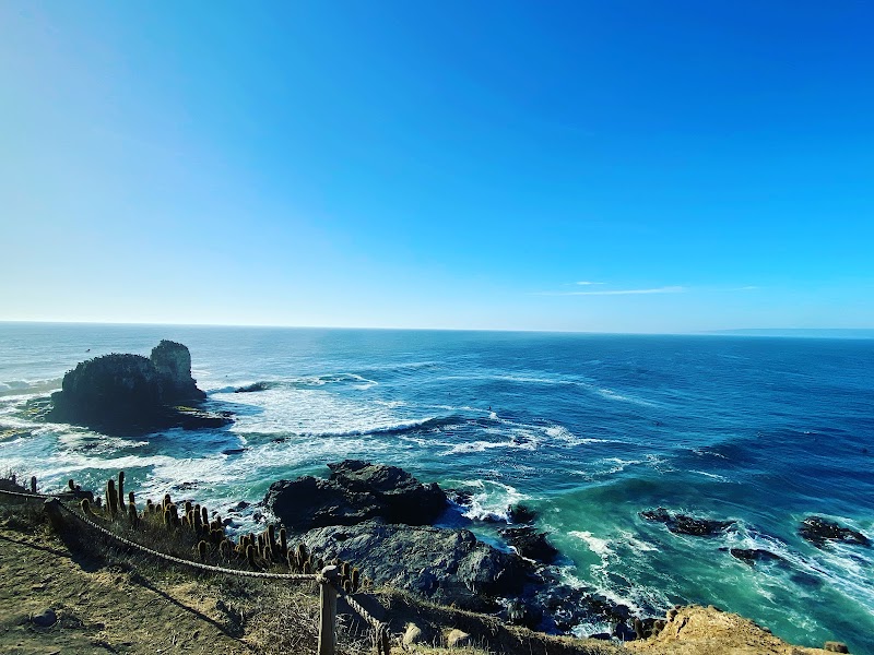Punta de Lobos