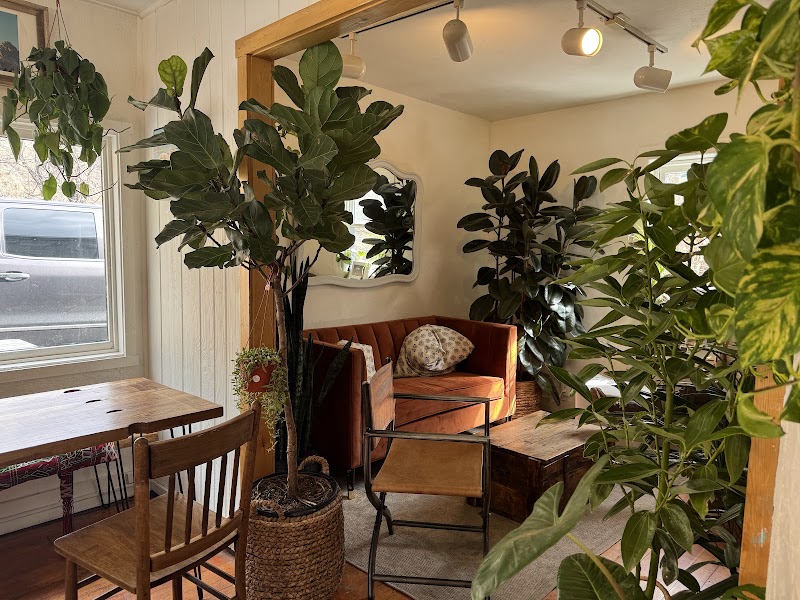 Amano Coffee & Plants photo 4