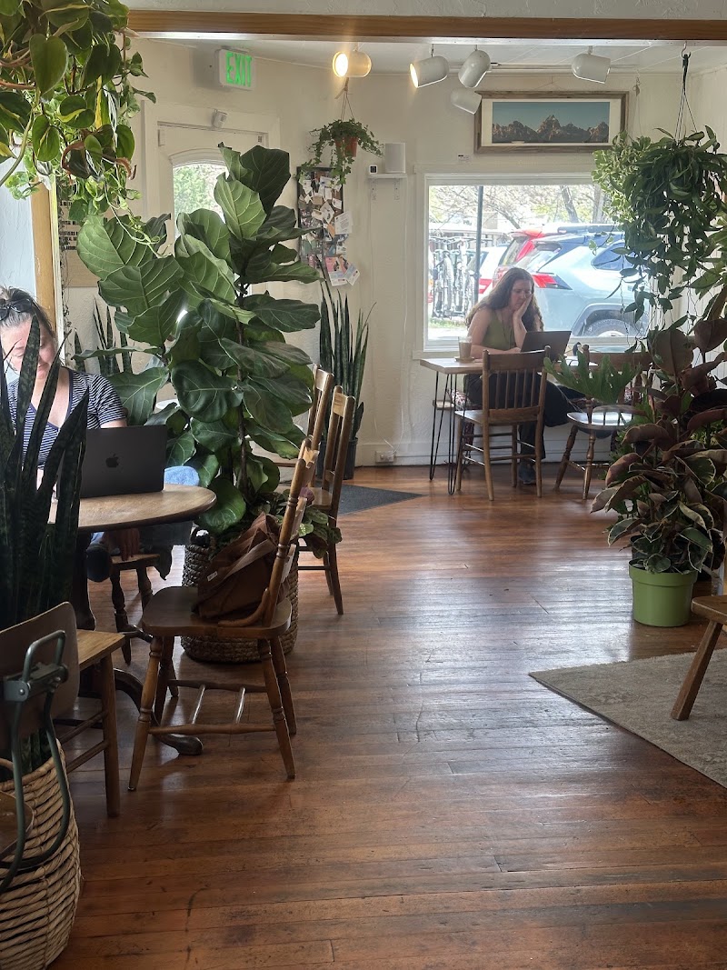Amano Coffee & Plants photo 2