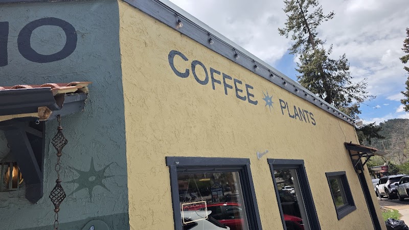 Amano Coffee & Plants photo 2