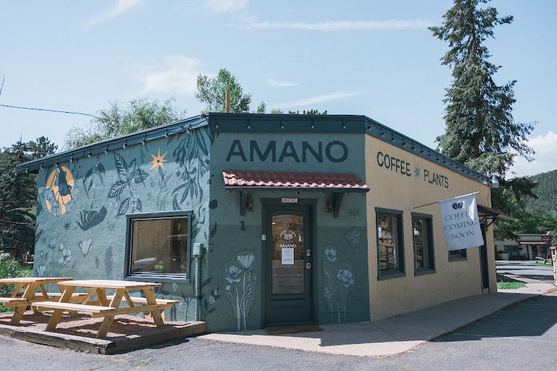 Amano Coffee & Plants photo 1