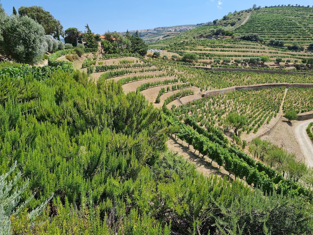 Quinta do Seixo