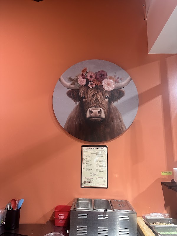 Photo by Dipped & Drizzled