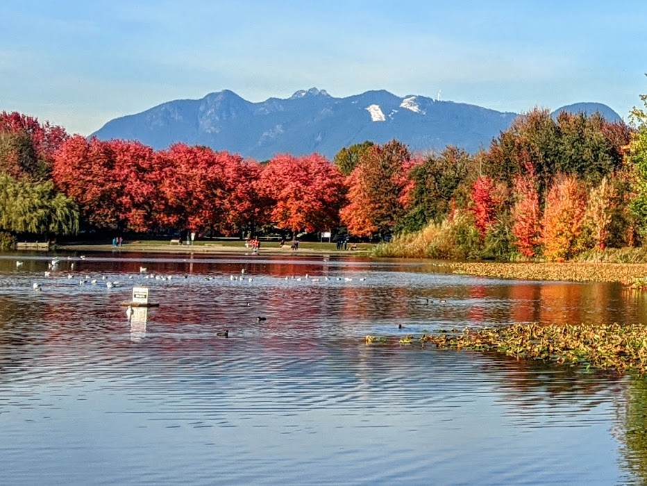 John Hendry Park (Trout Lake Park) fotoğraf 1