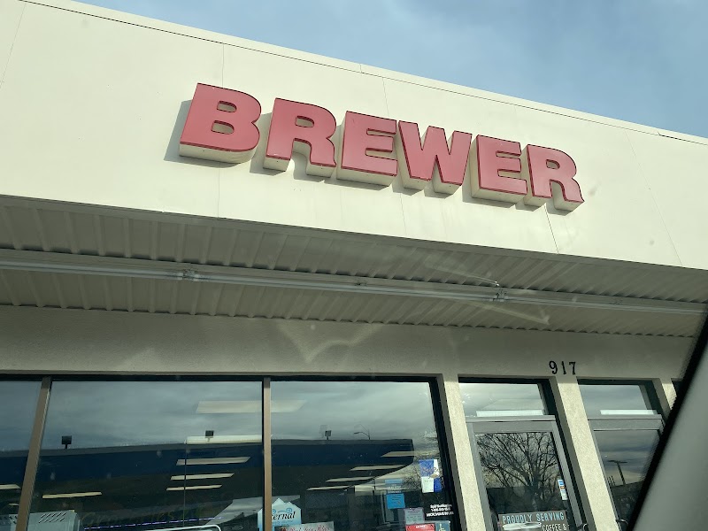 Shell photo 2