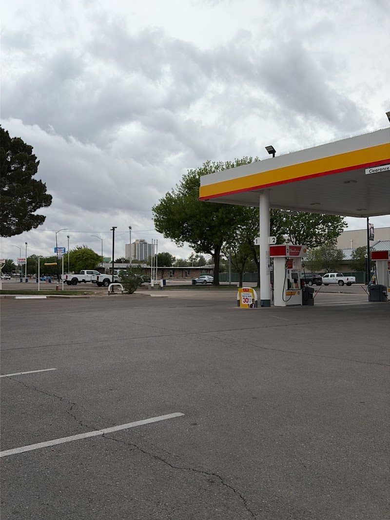Shell photo 4