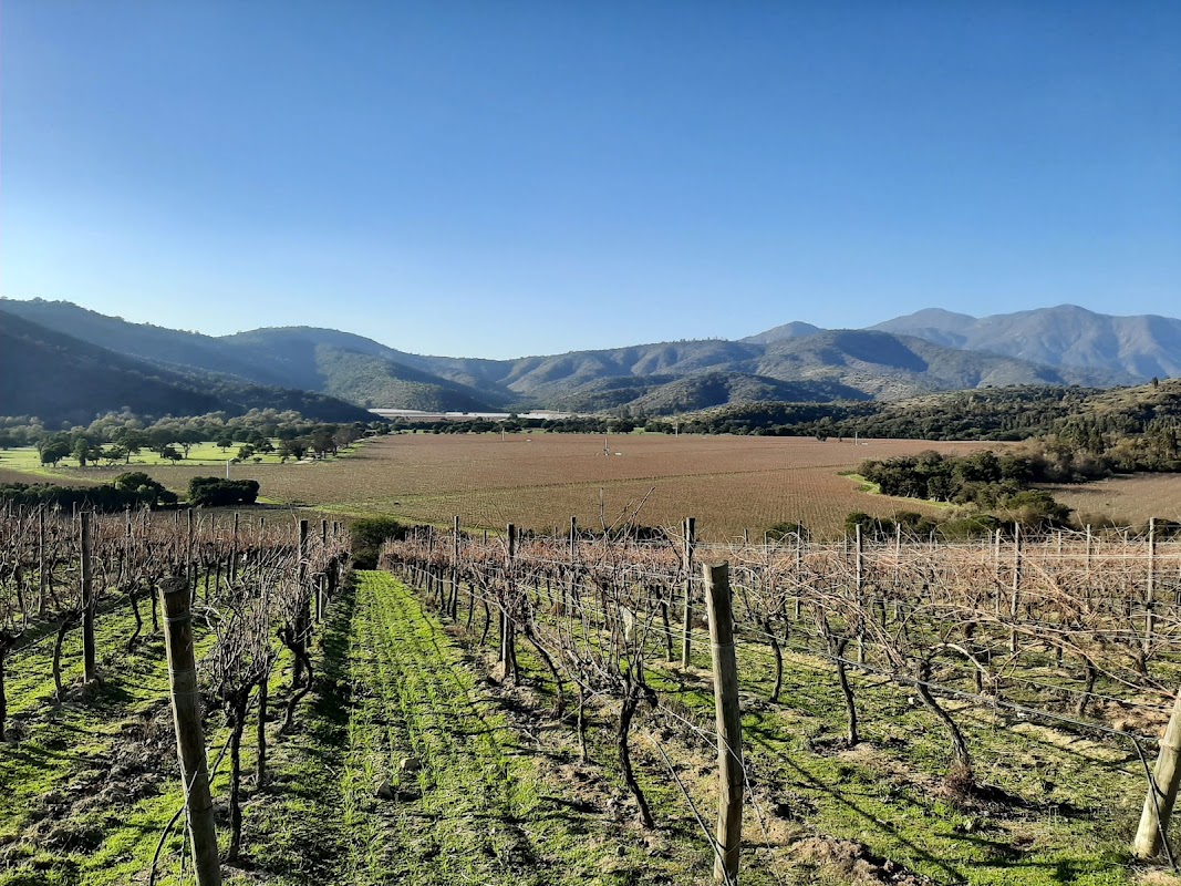 Bodega Viña Matetic Vineyards