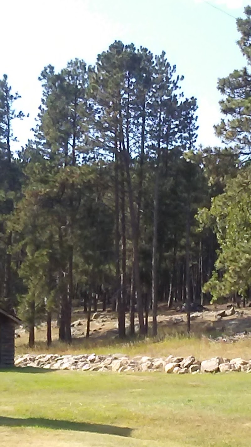 McDonald Mountain Ranch - Photo 5