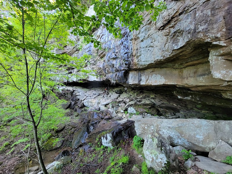 Horseshoe Canyon Ranch - Photo 2