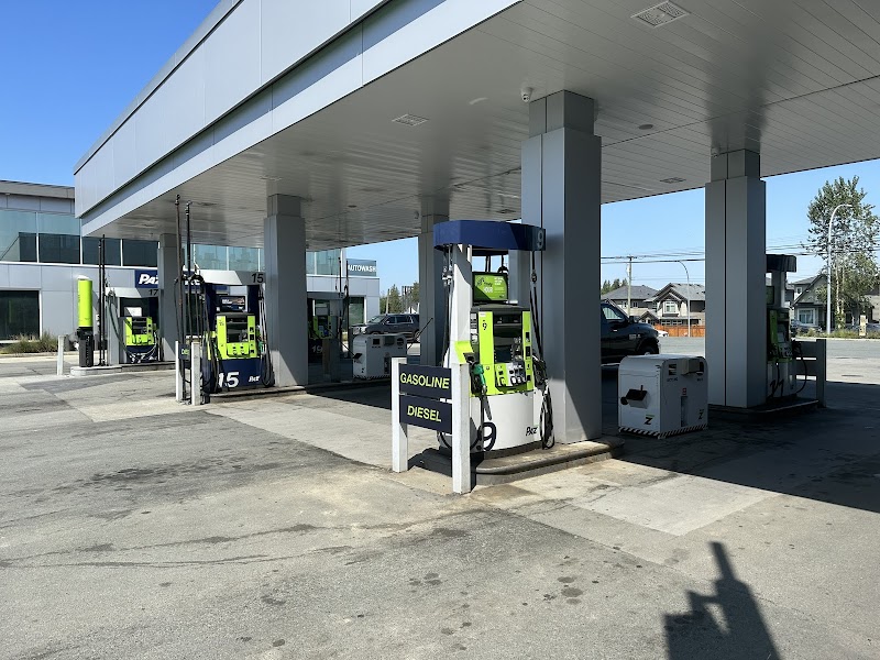 Paz Fuels Ltd photo 2